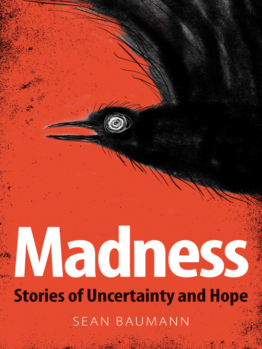 Cover image for Madness